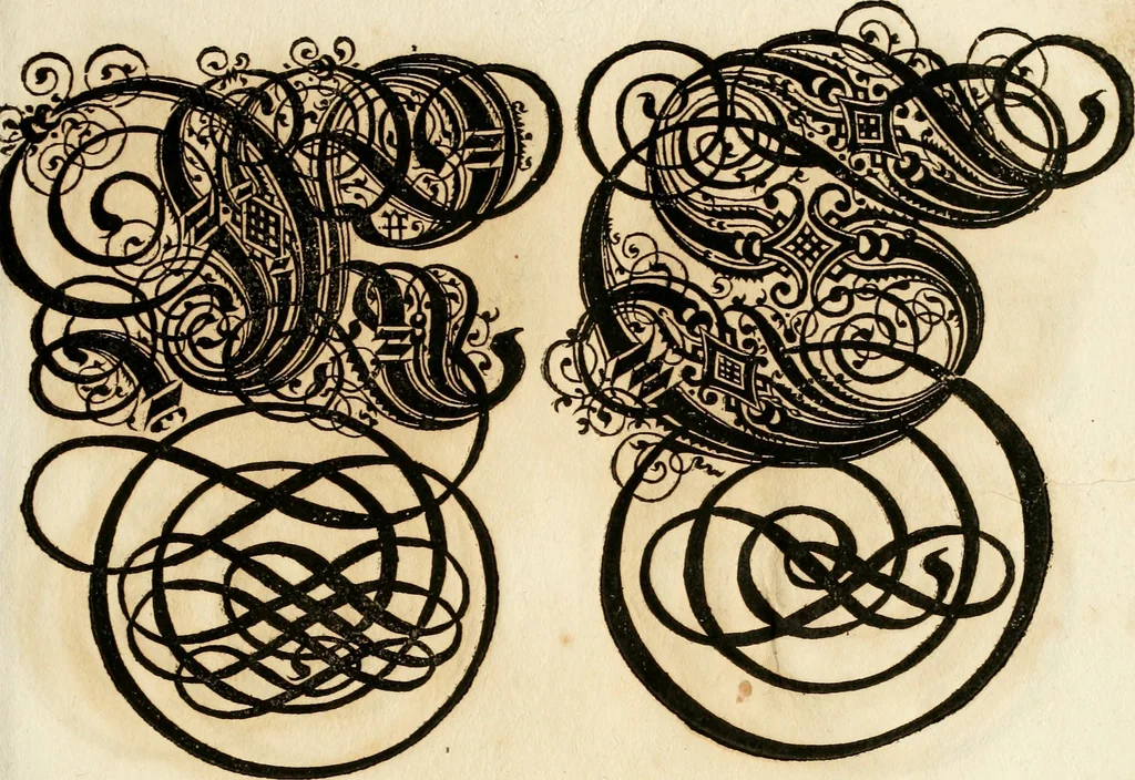An illustration from Kunstrichtige Schreibart : allerhand Versalie[n] oder AnfangsBuchstabe[n] der teütschen, lateinischen und italianischen Schrifften aus unterschiedlichen Meistern der edlen Schreibkunst zusammen getragen, 1655, leaf 64