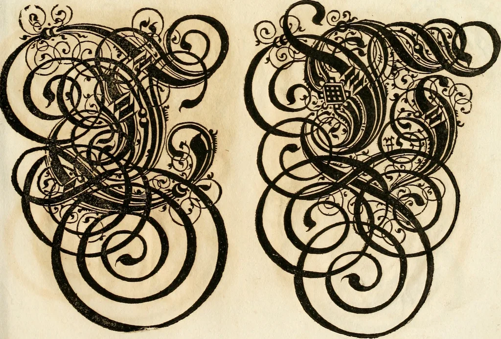 An illustration from Kunstrichtige Schreibart : allerhand Versalie[n] oder AnfangsBuchstabe[n] der teütschen, lateinischen und italianischen Schrifften aus unterschiedlichen Meistern der edlen Schreibkunst zusammen getragen, 1655, leaf 64