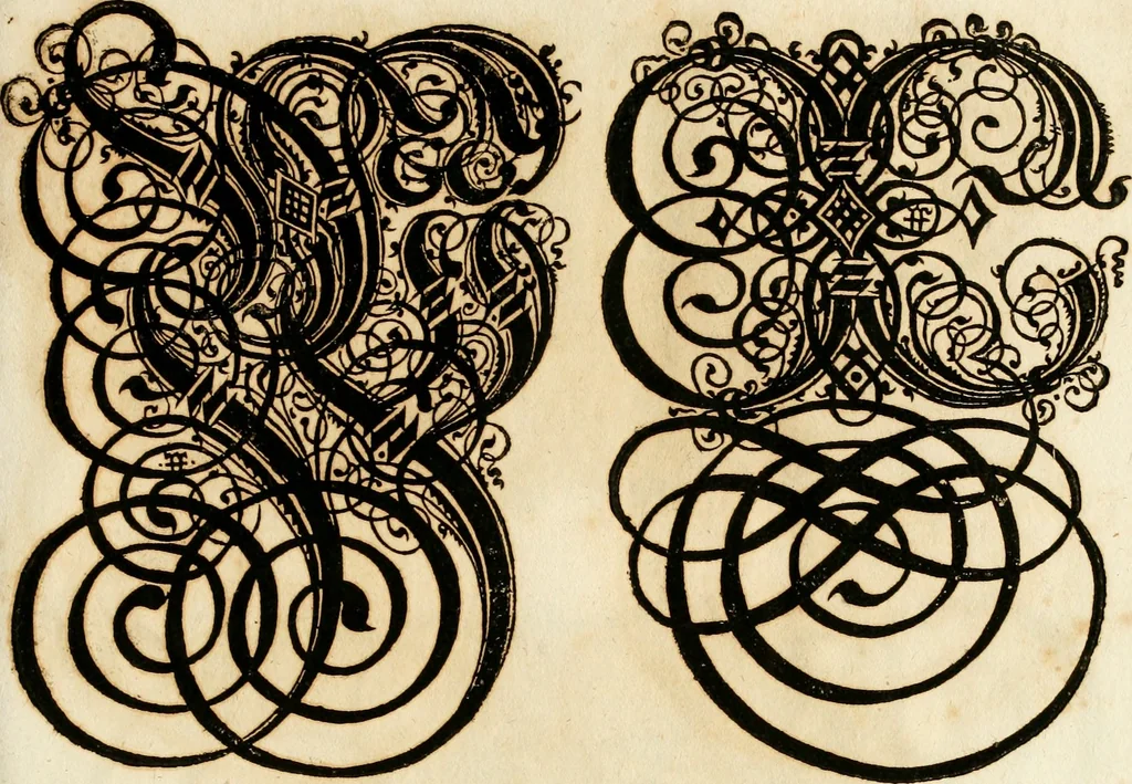 An illustration from Kunstrichtige Schreibart : allerhand Versalie[n] oder AnfangsBuchstabe[n] der teütschen, lateinischen und italianischen Schrifften aus unterschiedlichen Meistern der edlen Schreibkunst zusammen getragen, 1655, leaf 66
