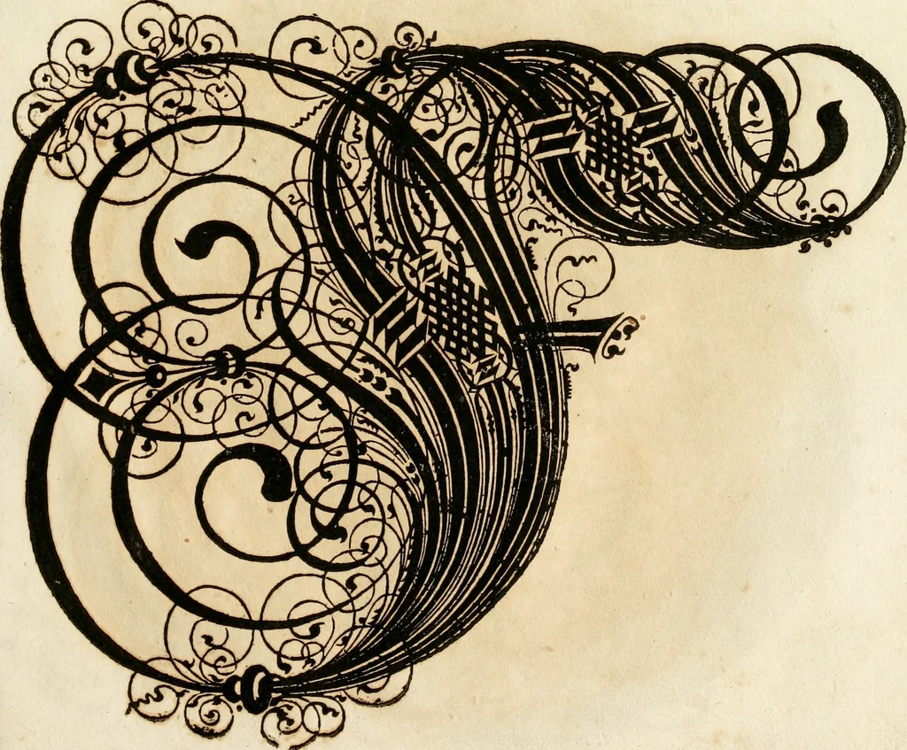 An illustration from Kunstrichtige Schreibart : allerhand Versalie[n] oder AnfangsBuchstabe[n] der teütschen, lateinischen und italianischen Schrifften aus unterschiedlichen Meistern der edlen Schreibkunst zusammen getragen, 1655, leaf 88