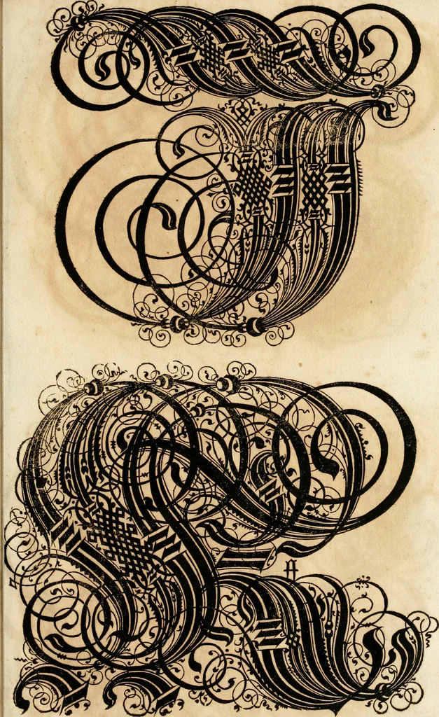 An illustration from Kunstrichtige Schreibart : allerhand Versalie[n] oder AnfangsBuchstabe[n] der teütschen, lateinischen und italianischen Schrifften aus unterschiedlichen Meistern der edlen Schreibkunst zusammen getragen, 1655, leaf 92