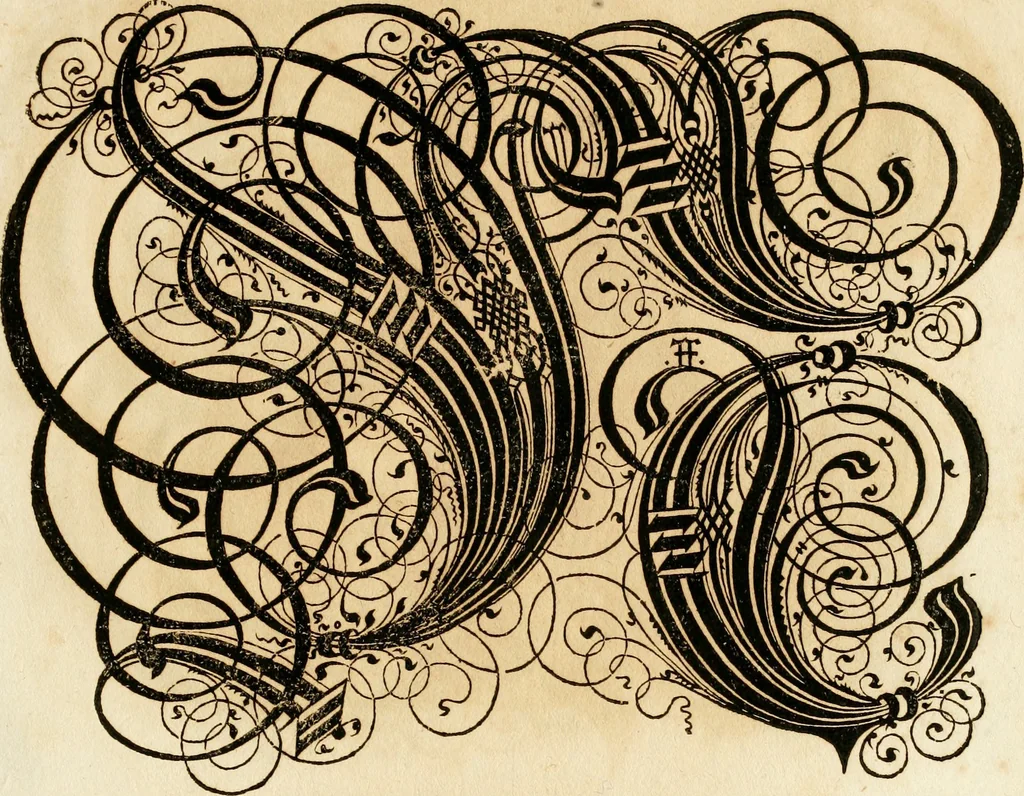 An illustration from Kunstrichtige Schreibart : allerhand Versalie[n] oder AnfangsBuchstabe[n] der teütschen, lateinischen und italianischen Schrifften aus unterschiedlichen Meistern der edlen Schreibkunst zusammen getragen, 1655, leaf 96
