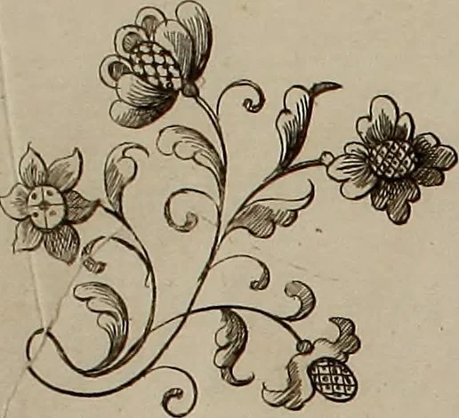 An illustration from Kunst-und Fleiss-übende Nadel-Ergötzungen; oder, neu erfundenes Neh-und Stick-Buch. Worin dem, solche schöne wissenschafftliebendem Frauenzimmer, allerhand, zu vielen Sachen anständige, Muster und Risse, nach der neuesten Façon, zu deren nützlichen Bedienung, 1730, leaf 37
