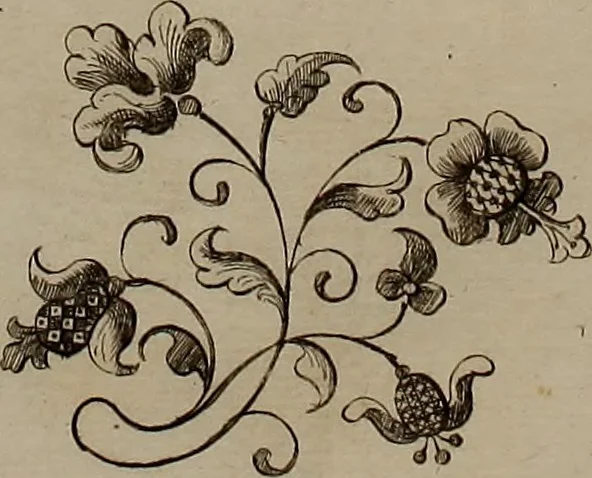 An illustration from Kunst-und Fleiss-übende Nadel-Ergötzungen; oder, neu erfundenes Neh-und Stick-Buch. Worin dem, solche schöne wissenschafftliebendem Frauenzimmer, allerhand, zu vielen Sachen anständige, Muster und Risse, nach der neuesten Façon, zu deren nützlichen Bedienung, 1730, leaf 37