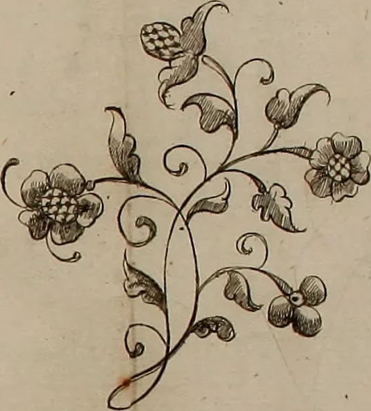 An illustration from Kunst-und Fleiss-übende Nadel-Ergötzungen; oder, neu erfundenes Neh-und Stick-Buch. Worin dem, solche schöne wissenschafftliebendem Frauenzimmer, allerhand, zu vielen Sachen anständige, Muster und Risse, nach der neuesten Façon, zu deren nützlichen Bedienung, 1730, leaf 37