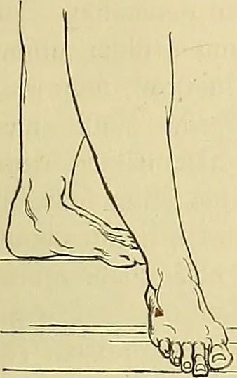 An illustration from Kunst und Künstler des Mittelalters und der Neuzeit : Biographien und Charakteristiken, 1877, leaf 74
