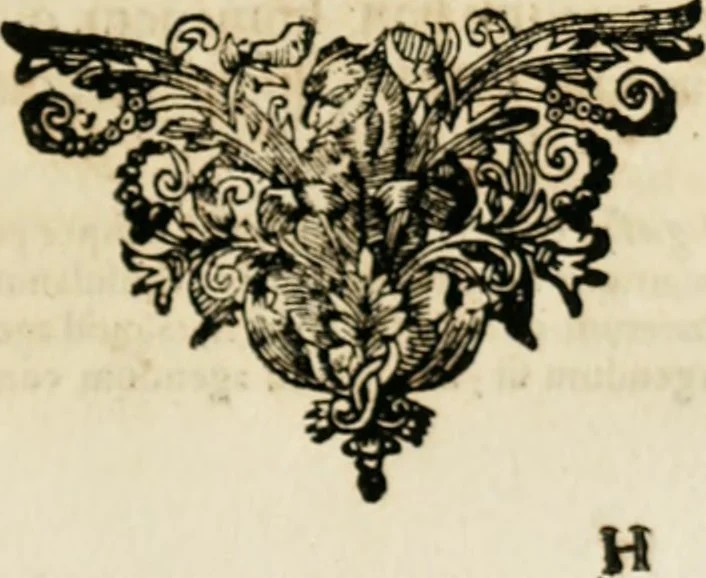 An illustration from Kununga ok hödfinga styrilse, hoc est Regum principumque institutio ab incerto auctore gentis sueticae ante saecula nonnulla patrio sermone conscripta, 1669, leaf 50