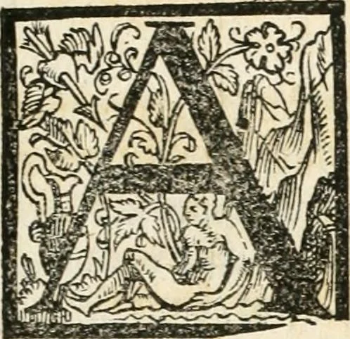 An illustration from Kurtze doch gegründte Beschreibung des durchleuchtigen hochgebornnen Fürsten vnnd Herzen, Herzen Wilhalmen,: Pfaltzgrauen bey Rhein, Hertzogen inn Obern vnd Nidern Baiern, &c. vnd derselbe, geliebsten Gemahel, der deuchtleuchtigist hochgebornnen Fürstin, Frewlein Renata gebornne Hertzogin zu Lottringen vnd Parr, &c. gehalten Hochzeitlichen Ehren Fests. Auch welcher gestalt die...Potentaten...enschinen. Vnd dann was für herrliche Ritterspil...Neben andern...kurtzweilen...in der Fürstlichen Haubstat München gehalten worden sein, den zwenvndzwaintzigisten vnd nachuolgende tag Februarij, Jm 1568. Jar, 1568, leaf 128