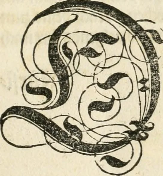 An illustration from Kurtze doch gegründte Beschreibung des durchleuchtigen hochgebornnen Fürsten vnnd Herzen, Herzen Wilhalmen,: Pfaltzgrauen bey Rhein, Hertzogen inn Obern vnd Nidern Baiern, &c. vnd derselbe, geliebsten Gemahel, der deuchtleuchtigist hochgebornnen Fürstin, Frewlein Renata gebornne Hertzogin zu Lottringen vnd Parr, &c. gehalten Hochzeitlichen Ehren Fests. Auch welcher gestalt die...Potentaten...enschinen. Vnd dann was für herrliche Ritterspil...Neben andern...kurtzweilen...in der Fürstlichen Haubstat München gehalten worden sein, den zwenvndzwaintzigisten vnd nachuolgende tag Februarij, Jm 1568. Jar, 1568, leaf 14