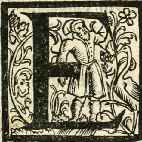 An illustration from Kurtze doch gegründte Beschreibung des durchleuchtigen hochgebornnen Fürsten vnnd Herzen, Herzen Wilhalmen,: Pfaltzgrauen bey Rhein, Hertzogen inn Obern vnd Nidern Baiern, &c. vnd derselbe, geliebsten Gemahel, der deuchtleuchtigist hochgebornnen Fürstin, Frewlein Renata gebornne Hertzogin zu Lottringen vnd Parr, &c. gehalten Hochzeitlichen Ehren Fests. Auch welcher gestalt die...Potentaten...enschinen. Vnd dann was für herrliche Ritterspil...Neben andern...kurtzweilen...in der Fürstlichen Haubstat München gehalten worden sein, den zwenvndzwaintzigisten vnd nachuolgende tag Februarij, Jm 1568. Jar, 1568, leaf 141