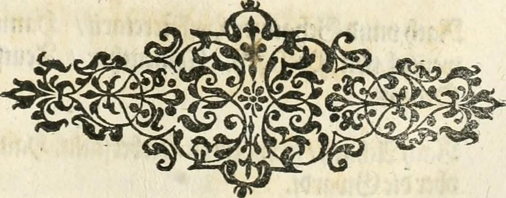 An illustration from Kurtze doch gegründte Beschreibung des durchleuchtigen hochgebornnen Fürsten vnnd Herzen, Herzen Wilhalmen,: Pfaltzgrauen bey Rhein, Hertzogen inn Obern vnd Nidern Baiern, &c. vnd derselbe, geliebsten Gemahel, der deuchtleuchtigist hochgebornnen Fürstin, Frewlein Renata gebornne Hertzogin zu Lottringen vnd Parr, &c. gehalten Hochzeitlichen Ehren Fests. Auch welcher gestalt die...Potentaten...enschinen. Vnd dann was für herrliche Ritterspil...Neben andern...kurtzweilen...in der Fürstlichen Haubstat München gehalten worden sein, den zwenvndzwaintzigisten vnd nachuolgende tag Februarij, Jm 1568. Jar, 1568, leaf 30