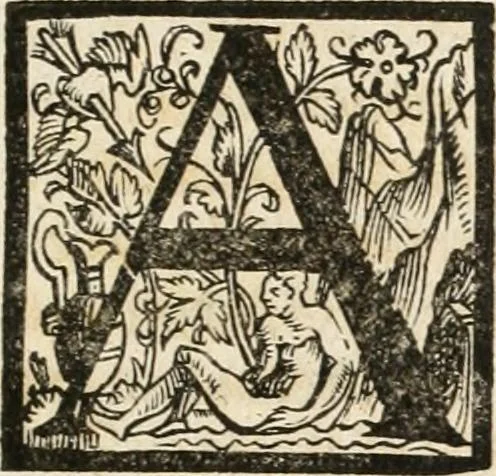 An illustration from Kurtze doch gegründte Beschreibung des durchleuchtigen hochgebornnen Fürsten vnnd Herzen, Herzen Wilhalmen,: Pfaltzgrauen bey Rhein, Hertzogen inn Obern vnd Nidern Baiern, &c. vnd derselbe, geliebsten Gemahel, der deuchtleuchtigist hochgebornnen Fürstin, Frewlein Renata gebornne Hertzogin zu Lottringen vnd Parr, &c. gehalten Hochzeitlichen Ehren Fests. Auch welcher gestalt die...Potentaten...enschinen. Vnd dann was für herrliche Ritterspil...Neben andern...kurtzweilen...in der Fürstlichen Haubstat München gehalten worden sein, den zwenvndzwaintzigisten vnd nachuolgende tag Februarij, Jm 1568. Jar, 1568, leaf 62