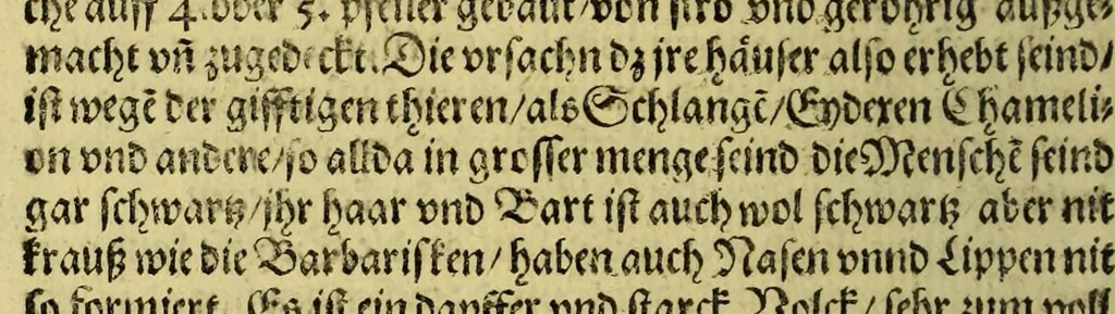 An illustration from Kurtze Warhafftige Beschreibung der newen Reyse oder Schiffahrt, so die hollendischen Schiff, in denn Orientalischen Indien; verricht: : welche anno 1595. in Martio, Aida aussegefahrn vnd erst im Augusto dess verlauffenen 1597 Jahrs, widerkommen seind. Darinne der gantz Succes der Reyse, was sich täglich verlauffen und zugetragen, erzält wird., 1598, leaf 34