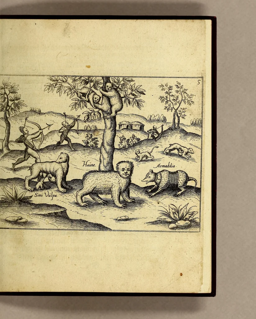 An illustration from Kurtze wunderbare Beschreibung, dess Goldreichen Königreichs Guianae in America oder newen Welt, vnder der Linea Aequinoctiali gelegen: so neulich Anno 1594. 1595. vnd 1596. von dem wolgebornen Herrn, Herrn Walthero Ralegh einem englischen Ritter, besucht worden: : erstlich auss befehl seiner Gnaden in zweyen Büchlein beschrieben, daraus Iodocus Hondius, ein schöne Land Taffel, mit einer niderländischen Erklärung gemacht. Jetzt aber ins Hochteutsch gebracht, vnd auss vnterschiedlichen Authoribus erkläret, 1601, leaf 19