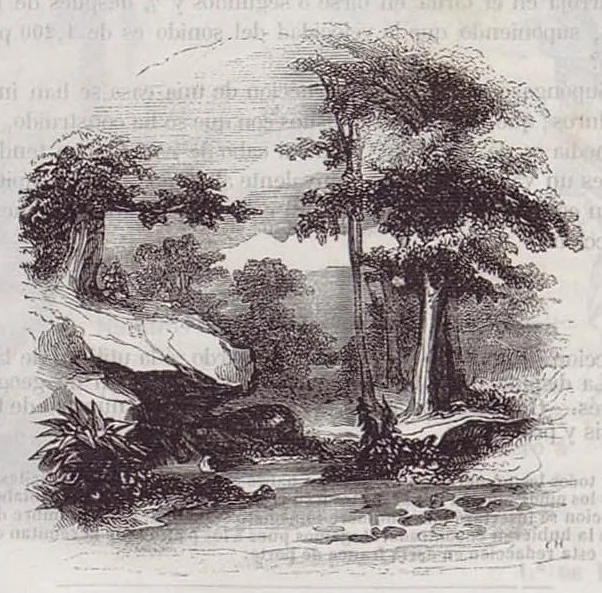An illustration from La Aurora Madrid 1 1 1851 LA AURORA PERIODICO DELO OS NIÑOS, 1851, leaf 38