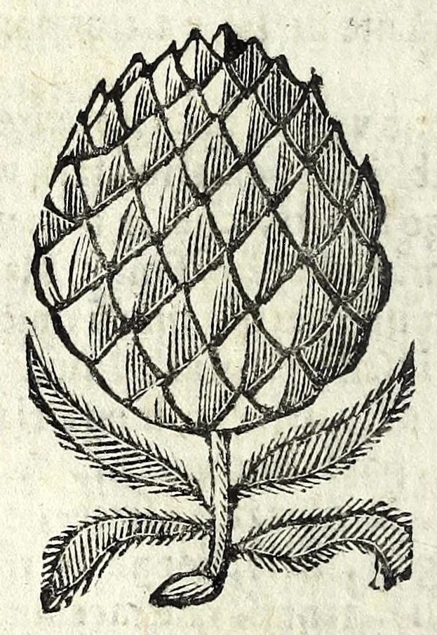 An illustration from La bizaria di Pantalone : comedia capriciosa, e facetta, 1671, leaf 12