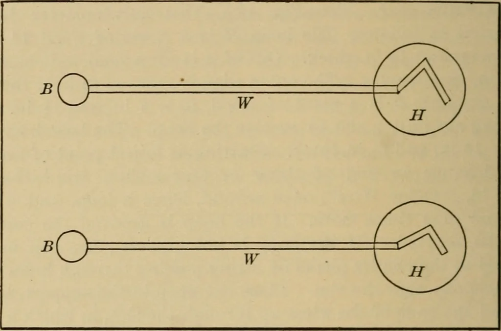 An illustration from Laboratory exercises in elementary physics, 1892, leaf 243