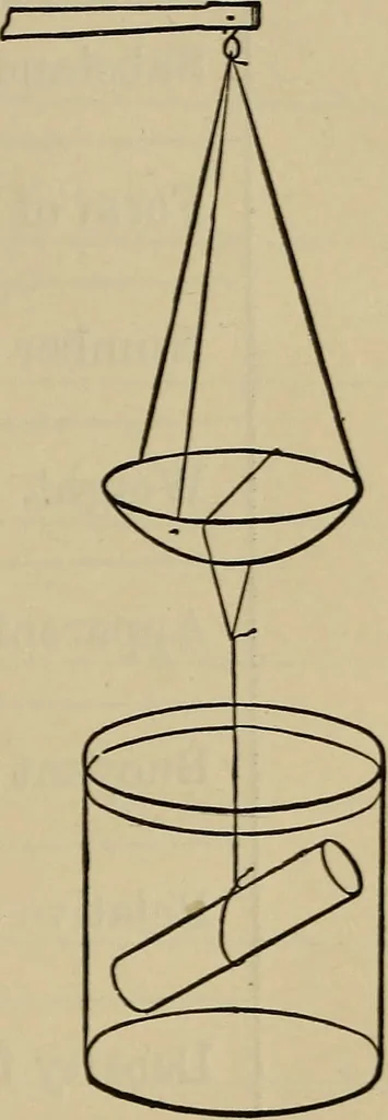 An illustration from Laboratory exercises in physics for secondary schools, 1902, leaf 84