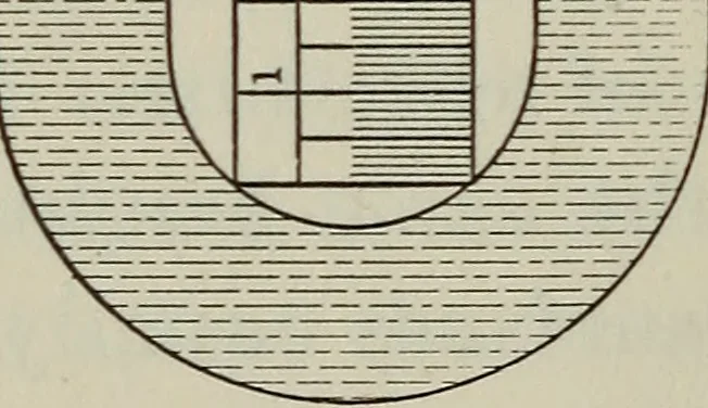 An illustration from Laboratory exercises to accompany Carhart and Chute's First principles of physics, 1912, leaf 79