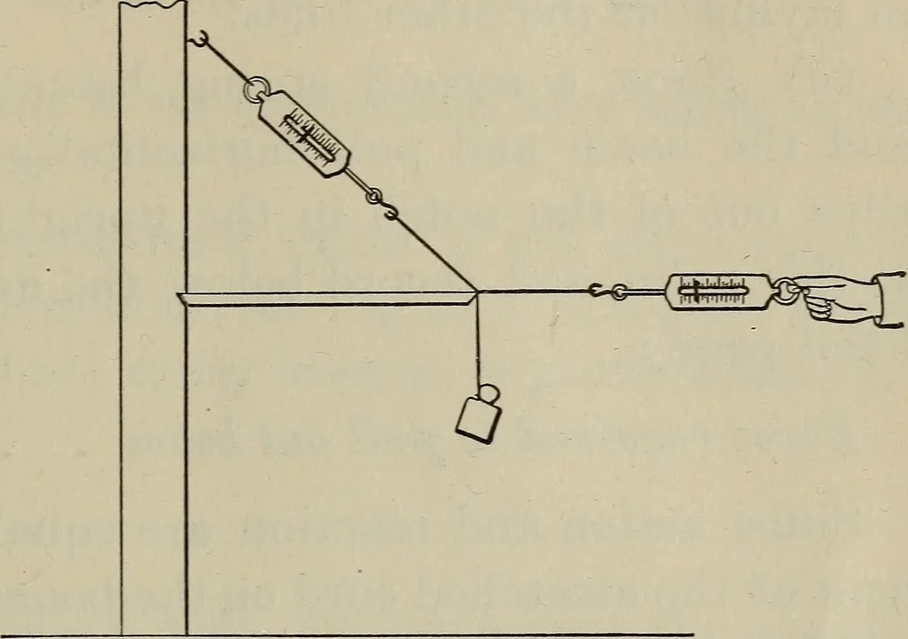An illustration from Laboratory exercises to accompany Carhart and Chute's First principles of physics, 1912, leaf 98