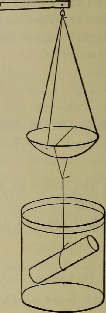 An illustration from Laboratory exercises in physics for secondary schools, 1906, leaf 94