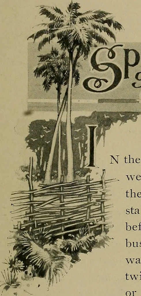 An illustration from Labor-saving looms, 1907, leaf 20