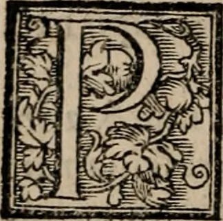 An illustration from Labyrinthus medicorum errantium ... : Cum adjunctis, 1553, leaf 11