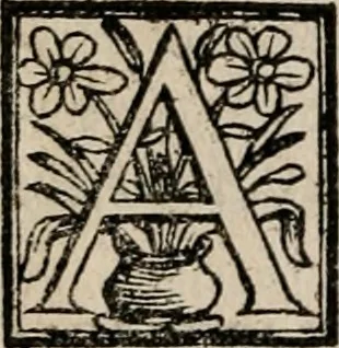 An illustration from Labyrinthus medicorum errantium ... : Cum adjunctis, 1553, leaf 29