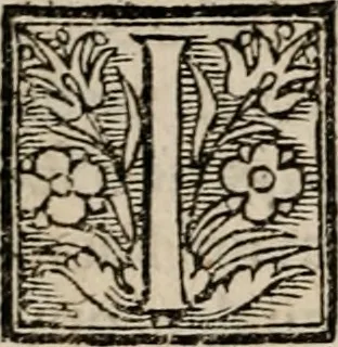 An illustration from Labyrinthus medicorum errantium ... : Cum adjunctis, 1553, leaf 41
