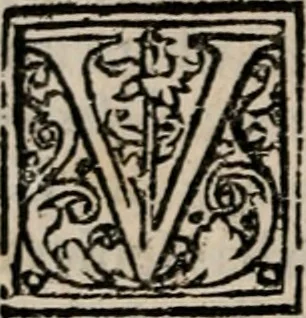 An illustration from Labyrinthus medicorum errantium ... : Cum adjunctis, 1553, leaf 47