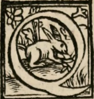 An illustration from Labyrinthus medicorum errantium ... : Cum adjunctis, 1553, leaf 52
