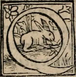 An illustration from Labyrinthus medicorum errantium ... : Cum adjunctis, 1553, leaf 9