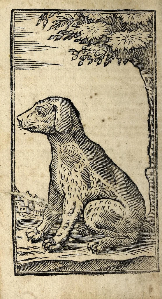 An illustration from La caccia dell' arcobugio, 1672, leaf 80