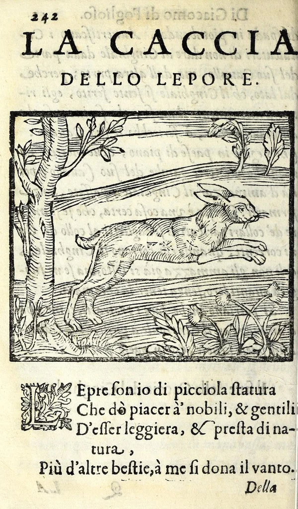 An illustration from La caccia di Giacomo di Foglioso, scudiero e signore di esso luogo, paese di Gastina in Poitù : con molte ricette & rimedij per risanare i cani da diuerse malattie, 1615, leaf 252