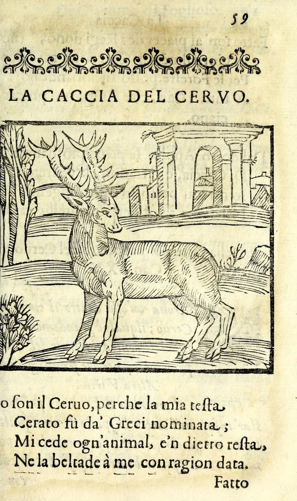 An illustration from La caccia di Giacomo di Foglioso, scudiero e signore di esso luogo, paese di Gastina in Poitù : con molte ricette & rimedij per risanare i cani da diuerse malattie, 1615, leaf 69