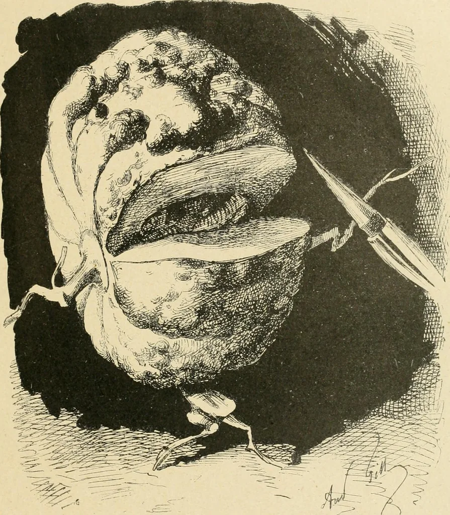 An illustration from La caricature et les caricaturistes ;, 1900, leaf 194
