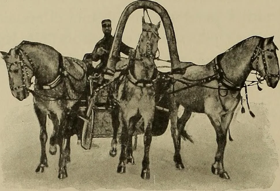 An illustration from La carrozza nella storia della locomozione, 1901, leaf 159