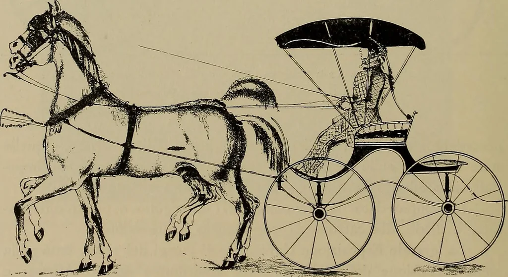 An illustration from La carrozza nella storia della locomozione, 1901, leaf 169