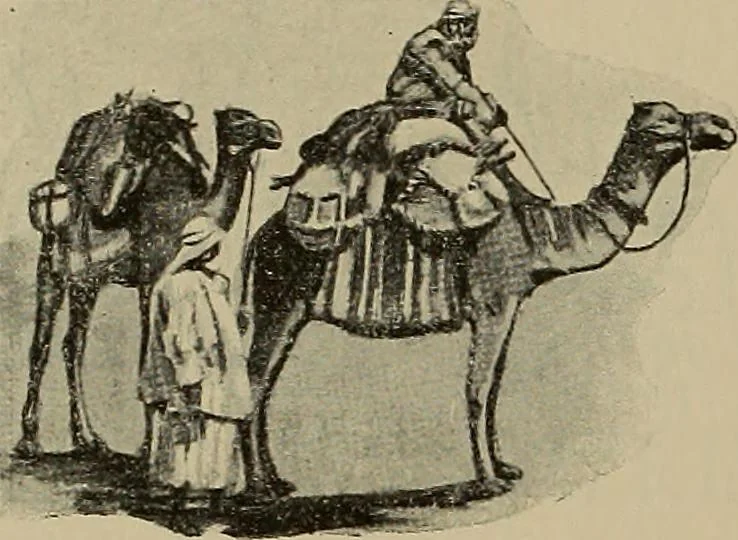 An illustration from La carrozza nella storia della locomozione, 1901, leaf 17