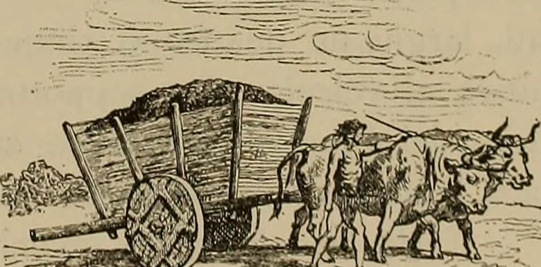 An illustration from La carrozza nella storia della locomozione, 1901, leaf 18