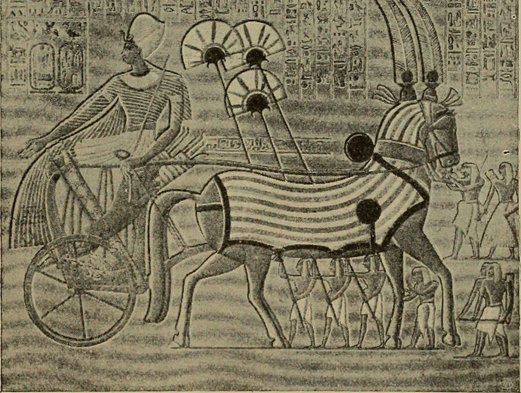An illustration from La carrozza nella storia della locomozione, 1901, leaf 20