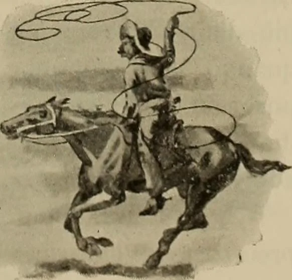 An illustration from La carrozza nella storia della locomozione, 1901, leaf 256