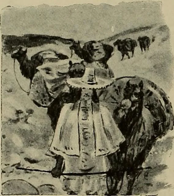 An illustration from La carrozza nella storia della locomozione, 1901, leaf 257