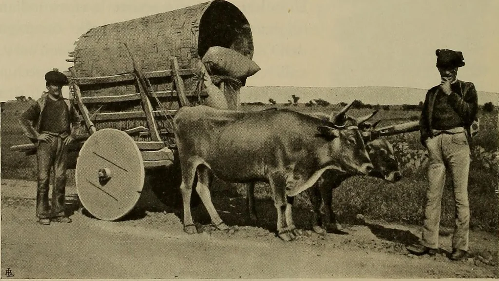 An illustration from La carrozza nella storia della locomozione, 1901, leaf 259
