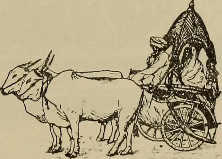 An illustration from La carrozza nella storia della locomozione, 1901, leaf 260