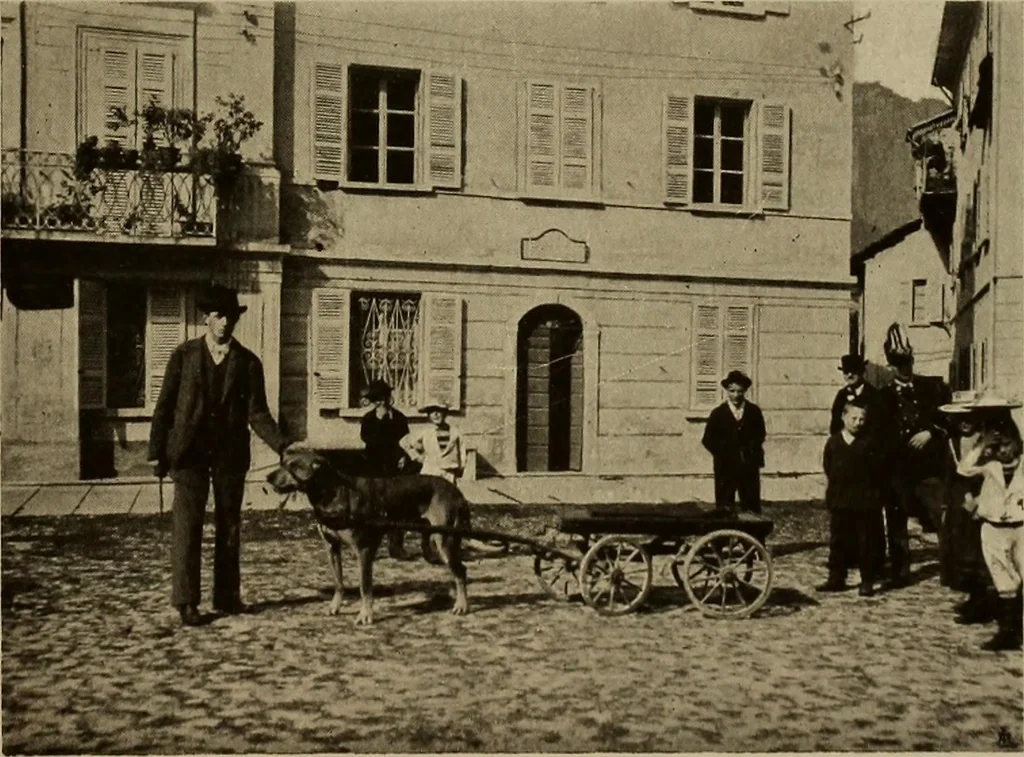 An illustration from La carrozza nella storia della locomozione, 1901, leaf 276