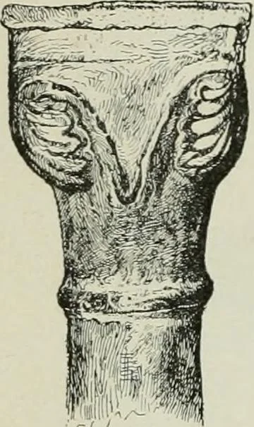 An illustration from La casas de religiosos en Cataluña durante el primer tercio del siglo 19, 1906, leaf 389