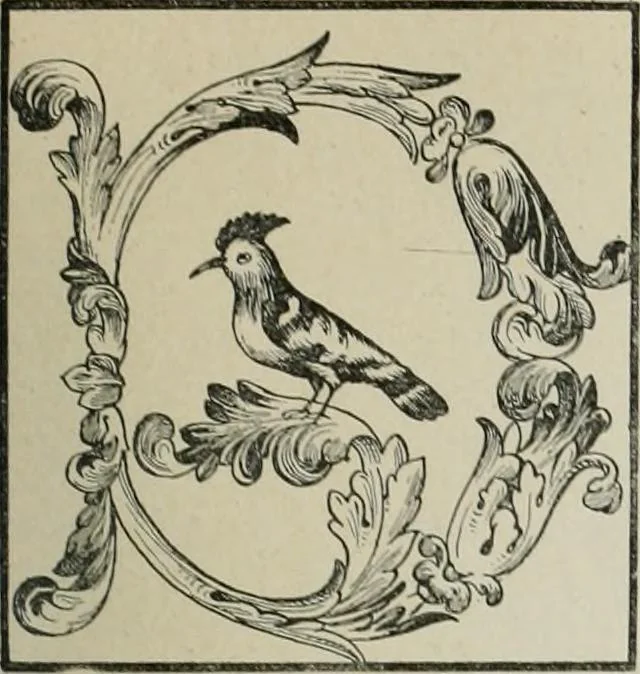 An illustration from La casas de religiosos en Cataluña durante el primer tercio del siglo 19, 1906, leaf 614