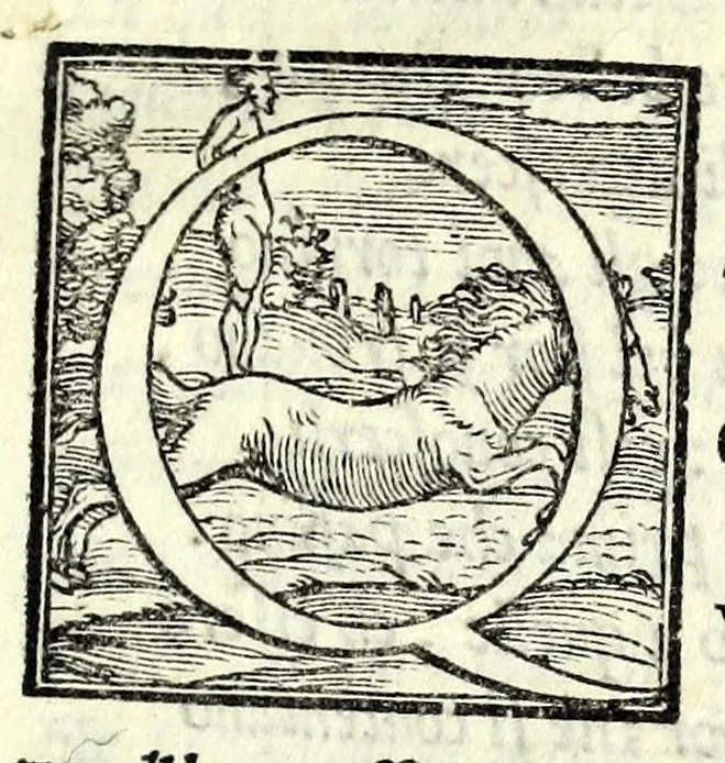 An illustration from La cassaria : comedia, 1546, leaf 5