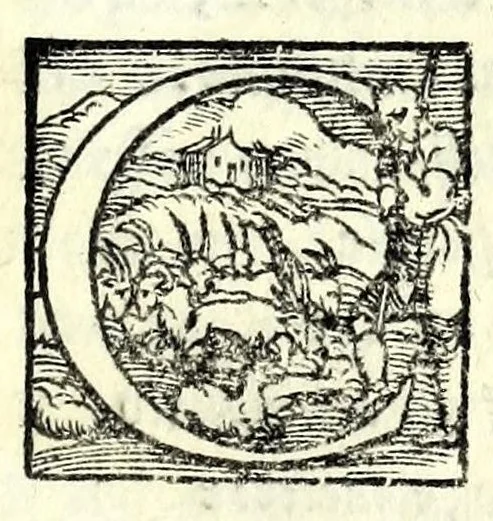 An illustration from La cassaria : comedia, 1546, leaf 91